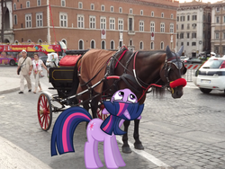 Size: 4288x3216 | Tagged: safe, artist:byteslice edits, artist:missbeigepony, edit, twilight sparkle, horse, human, unicorn, g4, blinders, bridle, building, bus, car, carriage, double decker bus, horse-pony interaction, irl, irl horse, photo, ponies in real life, rome, solo, tack, unicorn twilight, wagon
