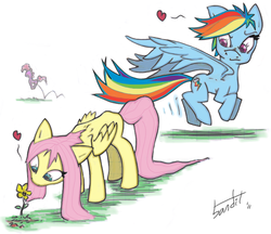 Size: 675x584 | Tagged: safe, artist:bandit, fluttershy, pinkie pie, rainbow dash, g4, 2011, female, flower, folded wings, heart, lesbian, looking at someone, pronking, running, ship:flutterdash, shipping, simple background, sniffing, spread wings, white background, wings