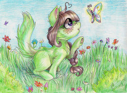 Size: 1280x932 | Tagged: safe, artist:dearmary, oc, oc only, butterfly, flower, fluffy, grass, solo