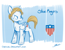 Size: 800x618 | Tagged: safe, artist:caycowa, captain america, ponified, steve rogers