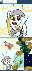 Size: 1201x2632 | Tagged: safe, artist:askthemothponies, oc, oc only, oc:meisa, butterfly, insect, moth, mothpony, original species, ask the moths, ask, comic, day, diagram, dialogue, educational, heterochromia, moon, night, solo, sun, tumblr