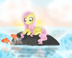 Size: 1000x800 | Tagged: safe, artist:chanceyb, fluttershy, fish, pegasus, pony, g4, female, looking at something, solo, water