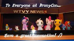 Size: 1000x564 | Tagged: safe, bronycon, 2014, build-a-bear, convention, irl, meta, news, photo, plushie, wtvy news 4