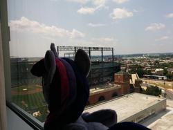 Size: 1024x768 | Tagged: artist needed, safe, twilight sparkle, alicorn, pony, bronycon, g4, 2014, convention, female, irl, mare, oriole park at camden yards, plushie, twilight sparkle (alicorn), window