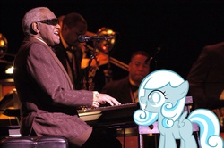 Size: 1011x672 | Tagged: safe, oc, oc only, oc:snowdrop, blind, blind joke, irl, music, photo, photoshop, ponies in real life, ray charles