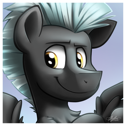 Size: 1928x1928 | Tagged: safe, artist:bcpony, thunderlane, pegasus, pony, g4, avatar, bust, male, solo, stallion