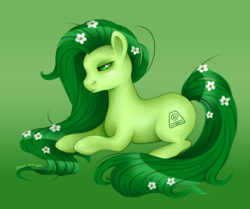 Size: 2000x1674 | Tagged: safe, artist:stasy-macalister, oc, oc only, earth pony, elemental, pony, flower, gradient background, solo