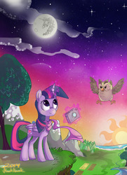 Size: 1801x2484 | Tagged: safe, artist:naaknaak, owlowiscious, twilight sparkle, alicorn, pony, g4, female, mare, twilight sparkle (alicorn)