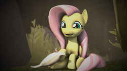 Size: 2120x1192 | Tagged: safe, artist:longsword97, fluttershy, bird, g4, 3d, female, forest, solo, source filmmaker