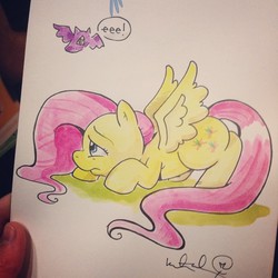 Size: 640x640 | Tagged: safe, artist:katie cook, fluttershy, bat, g4, female, scared, solo, traditional art