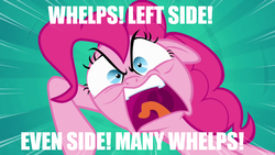 Size: 800x450 | Tagged: safe, edit, edited screencap, screencap, pinkie pie, g4, pinkie pride, image macro, meme, onyxia, ragey pie, warcraft, world of warcraft