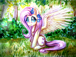 Size: 4608x3456 | Tagged: safe, artist:fenwaru, fluttershy, g4, female, flower in hair, high res, painting, sitting, solo, spread wings, traditional art