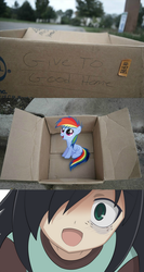 Size: 281x529 | Tagged: safe, rainbow dash, pegasus, pony, g4, dashie meme, exploitable meme, izumi kitta, japanese, meme, neutral people finding dash meme, tomoko kuroki, voice actor joke, watamote