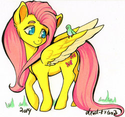 Size: 924x864 | Tagged: safe, artist:divinekitten, fluttershy, bird, g4, female, solo, traditional art