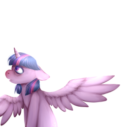 Size: 1000x1000 | Tagged: safe, artist:joo13, twilight sparkle, alicorn, pony, g4, female, mare, solo, twilight sparkle (alicorn)