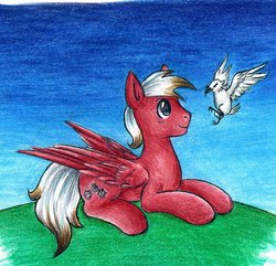 Size: 911x877 | Tagged: safe, artist:szopwmeloniku, oc, oc only, oc:quick wind, bird, pegasus, pony, lying, traditional art