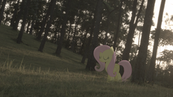 Size: 1920x1080 | Tagged: safe, artist:tremendoska, fluttershy, g4, irl, photo, ponies in real life, solo, wallpaper
