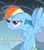 Size: 1280x1440 | Tagged: safe, rainbow dash, g4, 1kidsentertainment, blue, female, grumpy, hypocritical humor, image macro, irony, meme, pokémon the bridged series, solo, text edit