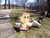 Size: 2592x1944 | Tagged: safe, artist:doctor-g, artist:tokkazutara1164, fluttershy, duck, pegasus, pony, g4, creek, female, fence, flock, irl, mare, milkshake, photo, ponies in real life, solo, tree, vector, walkway