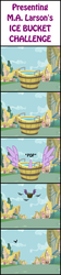 Size: 800x3550 | Tagged: safe, alicornified, als, bucket, comic, ice bucket challenge, meme, ponyville, thanks m.a. larson