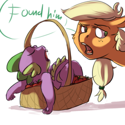 Size: 1024x1024 | Tagged: safe, artist:imsokyo, applejack, spike, daily sleeping spike, g4, apple, basket, cute, found, sleeping, tumblr