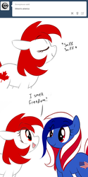 Size: 1000x2000 | Tagged: safe, artist:askcanadapony, artist:marytheechidna, oc, oc only, oc:america pony, oc:canada, canada, cute, murica, nation ponies, simple background, tumblr, united states, white background