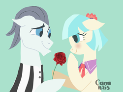 Size: 2048x1536 | Tagged: safe, artist:carranzis, coco pommel, silver shill, earth pony, pony, g4, blushing, clothes, cocoshill, crack shipping, cute, female, floppy ears, flower, looking at each other, looking at someone, male, rose, shipping, shirt, smiling, smiling at each other, straight