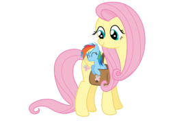 Size: 1200x900 | Tagged: safe, artist:s.guri, fluttershy, rainbow dash, pegasus, pony, g4, cute, duo, female, filly, mare, pocket pony, saddle bag, simple background, transparent background, vector