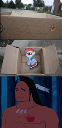 Size: 844x1733 | Tagged: safe, rainbow dash, pegasus, pony, fanfic:my little dashie, g4, evil people finding dash meme, exploitable meme, kocoum, meme, pocahontas