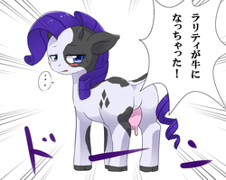 Size: 1280x1024 | Tagged: safe, artist:yajima, rarity, cow, g4, raricow, species swap, translation request, udder