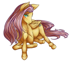 Size: 800x700 | Tagged: safe, artist:teallaquin, fluttershy, horse, pegasus, pony, g4, female, solo, wings