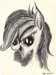 Size: 2355x3144 | Tagged: safe, artist:thesubtle, rainbow dash, g4, female, gotta go fast, high res, male, open mouth, portrait, profile, smiling, solo, sonic the hedgehog, sonic the hedgehog (series), traditional art