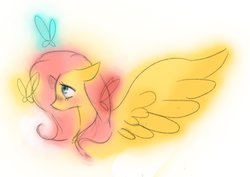 Size: 1024x724 | Tagged: safe, artist:rainbowlover001, fluttershy, g4, female, solo