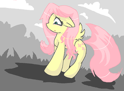 Size: 418x308 | Tagged: safe, fluttershy, pegasus, pony, g4, cloud, female, mare, shadow, sky, solo, spread wings, wings