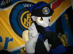 Size: 800x600 | Tagged: artist needed, safe, derpy hooves, pegasus, pony, g4, clothes, female, football, inter milan, irl, mare, photo, plushie, scarf