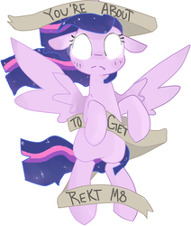 Size: 2951x3479 | Tagged: safe, artist:meowing-ghost, twilight sparkle, alicorn, pony, g4, female, floating, floppy ears, frown, glowing eyes, high res, looking at you, m8, mare, old banner, rekt, simple background, solo, spread wings, super saiyan princess, this will end in tears, threat, twilight sparkle (alicorn), white background