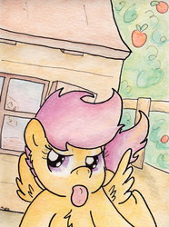 Size: 737x989 | Tagged: safe, artist:slightlyshade, scootaloo, pegasus, pony, g4, clubhouse, crusaders clubhouse, female, solo, tongue out, traditional art