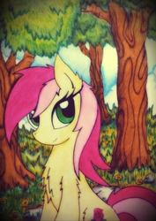 Size: 1471x2078 | Tagged: safe, artist:canvymamamoo, roseluck, earth pony, pony, g4, female, mare, solo