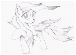 Size: 4677x3400 | Tagged: safe, fluttershy, pegasus, pony, g4, female, mare, monochrome, raised hoof, solo, spread wings, tail, traditional art, wind, windswept mane, windswept tail, wings