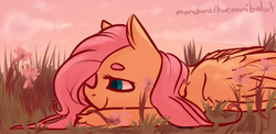 Size: 1545x751 | Tagged: safe, artist:marshmellowcannibal, fluttershy, g4, female, flower, lying, smiling, solo, unshorn fetlocks