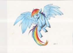 Size: 1024x746 | Tagged: safe, artist:iceviperess, rainbow dash, pegasus, pony, g4, female, solo, traditional art