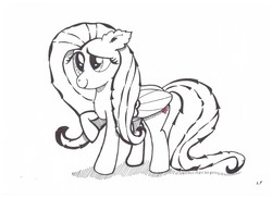 Size: 2338x1700 | Tagged: artist needed, source needed, safe, fluttershy, g4, female, solo