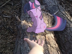 Size: 2592x1944 | Tagged: safe, artist:scootaloooo, artist:tokkazutara1164, twilight sparkle, human, g4, hand, irl, laughing, photo, ponies in real life, reaching, shadow, solo, vector, wood