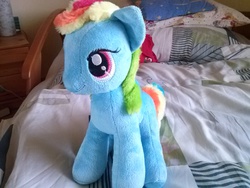 Size: 1280x960 | Tagged: safe, rainbow dash, g4, cute, irl, nici, photo, play by play, plushie