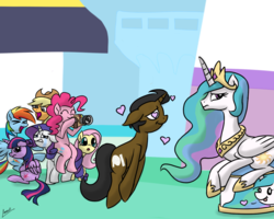 Size: 1280x1024 | Tagged: safe, artist:elzielai, applejack, fluttershy, pinkie pie, princess celestia, rainbow dash, rarity, twilight sparkle, oc, alicorn, earth pony, pegasus, pony, unicorn, g4, camera, cringing, female, floppy ears, heart eyes, laughing, mare, twilight sparkle (alicorn), wingding eyes