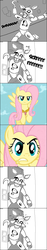 Size: 500x2687 | Tagged: safe, artist:old roots, fluttershy, fox, g4, comic, five nights at freddy's, foxy, the stare