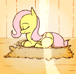 Size: 990x960 | Tagged: safe, artist:gmrqor, fluttershy, g4, female, sleeping, solo