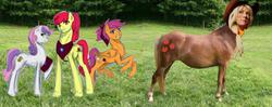 Size: 1000x394 | Tagged: safe, artist:kanrabat, artist:no-shining-knight, apple bloom, applejack, scootaloo, sweetie belle, g4, cosplay, cutie mark crusaders, hoers, human head, irl, irl horse, photo, wat, what has science done