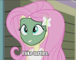 Size: 392x308 | Tagged: safe, screencap, fluttershy, equestria girls, g4, my little pony equestria girls: rainbow rocks, 1000 hours in ms paint, female, i like turtles, image macro, meme, ms paint, solo