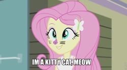 Size: 842x464 | Tagged: safe, edit, screencap, fluttershy, cat, equestria girls, g4, my little pony equestria girls: rainbow rocks, 1000 hours in ms paint, face paint, female, image macro, meme, ms paint, solo